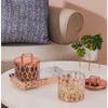 Airtight Dry Fruit Container Set With Tray|Plastic Dry Food Storage|500Ml, Set Of 2 (Rose Gold)