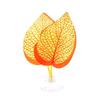 Fishtanks Decorations for Betta Fish Resting Bed Hammock Spawning Pad for Bettas Simulation Habitats AquaticPlant
