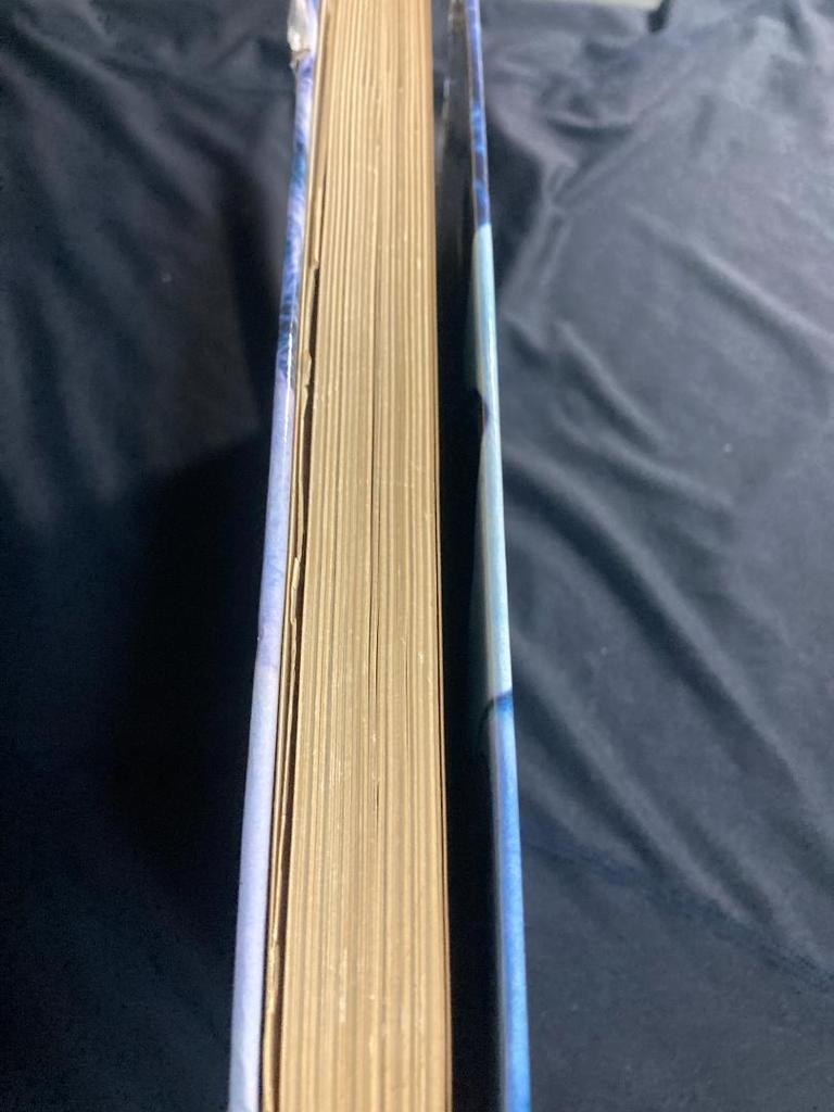 [USED] Rare Book: A SUDDEN CLASH OF THUNDER / Bhagwan