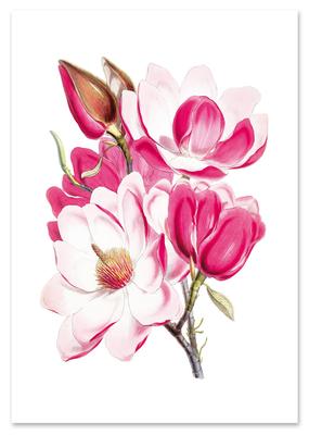 Poster Bouquet of Pink Flowers