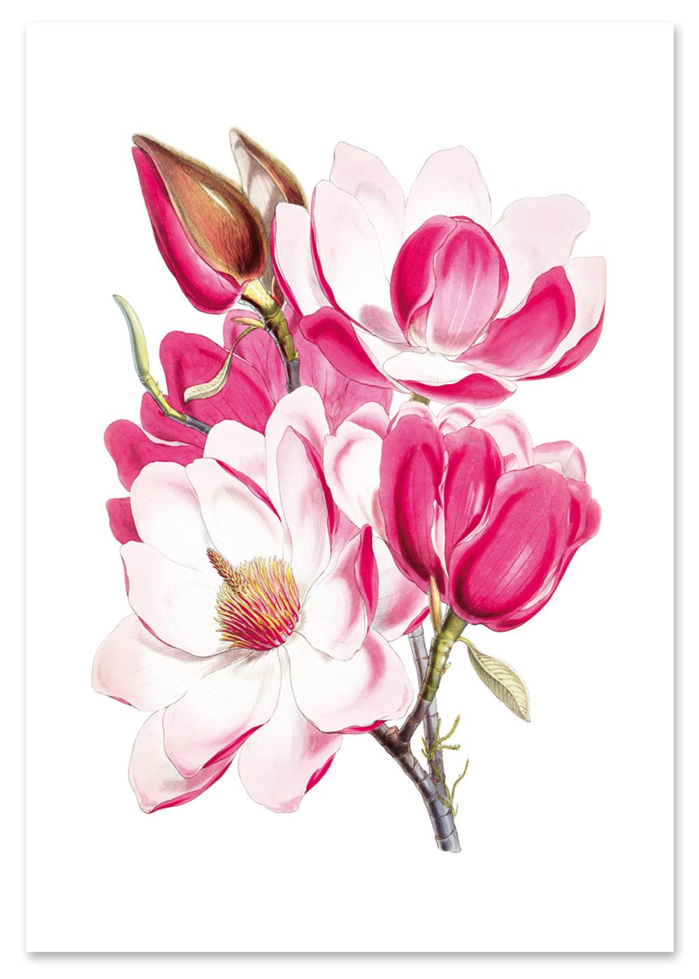 

Плакат з букетом рожевих квітів 30x40 cm