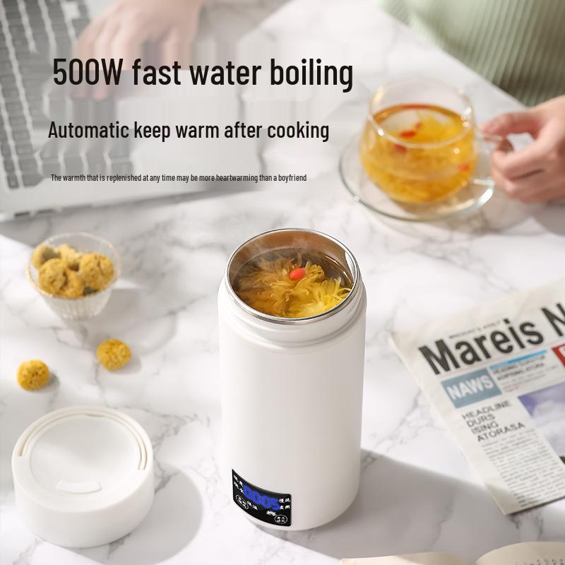 Compact Electric Travel Kettle for Formula & Hot Water