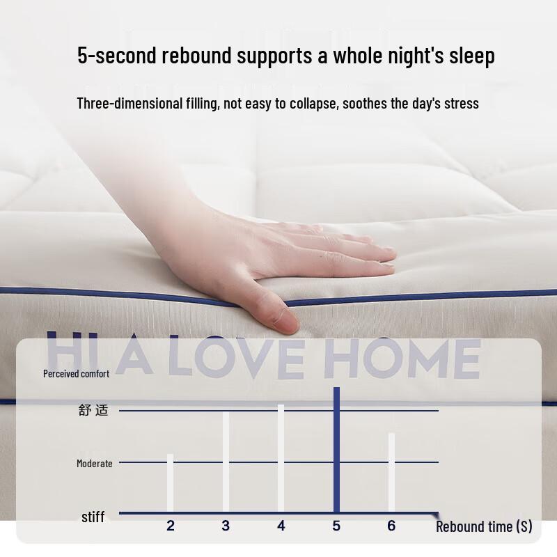 Hodo Home Memory Foam Soft Foldable Mattress Topper