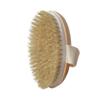 Handheld Solid Wood Bath & Massage Brush with Bristles