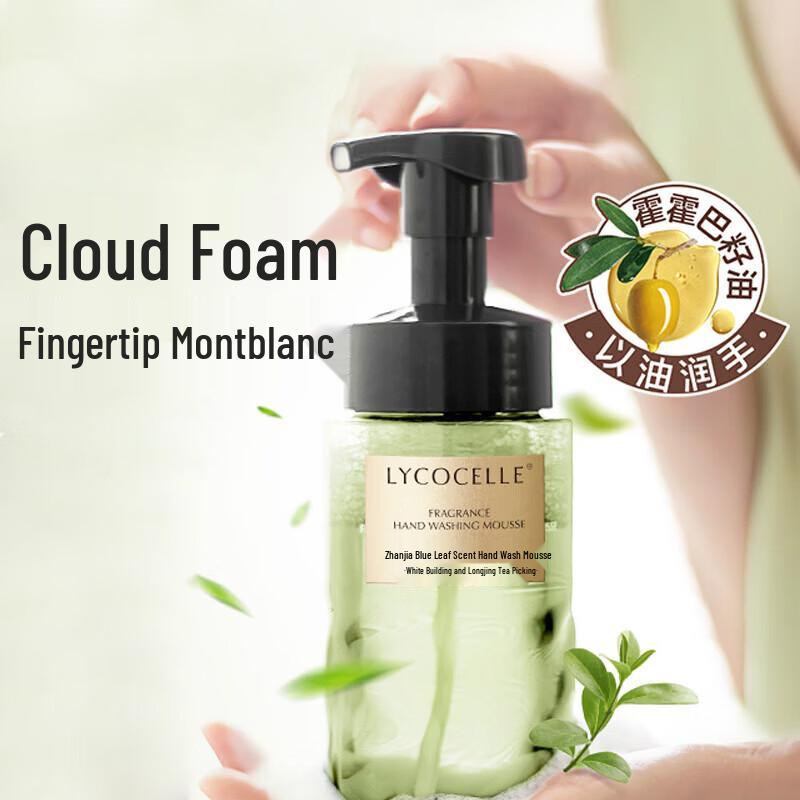 ZhanJia Blue Eucalyptus Scented Hand Wash Mousse