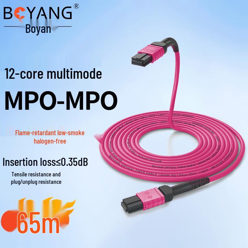 

Boyang 12-Core MPO-MPO Fiber Optic Patch Cable