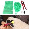 Ear   and Pliers Set Livestock Ear   Applicator and Bright Colors Cattle Ear   for Farm Animal Identification Card