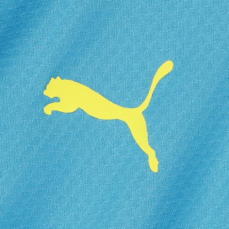 Puma Manchester City Training 1 4 Zip Top