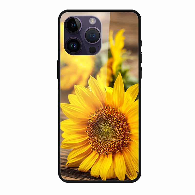 Tempered Glass Case For iphone 15 Pro Max Case Hard Glass Back Cover Soft TPU Bumper For iphone 16 Pro Max Phone Case 16Pro Max