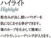 Kumano Brush Chikuhodo Authentic Brush Goat Hair Makeup Brush Powder/Face RR-H1, (Soukouho) - Hiroshima,