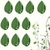 20pcs, Plant Wall Fixture Clips for Climbing Plants Invisible Vine Traction Support Holder with 24pcs Adhesive Stickers Fixing