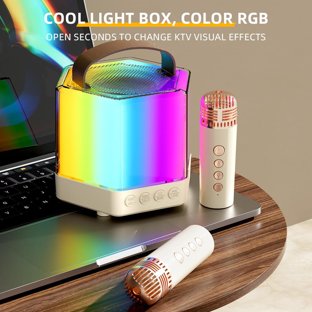 Karaoke Machine Mini Wireless Microphone and Speaker Set with 2 Microphone RGB Color Light Handheld