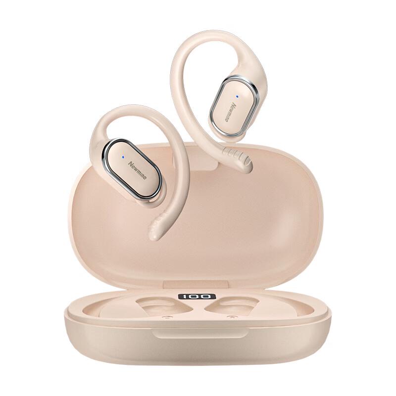 Newman LY12PLUS Open-Ear True Wireless Ear Hook Headphones