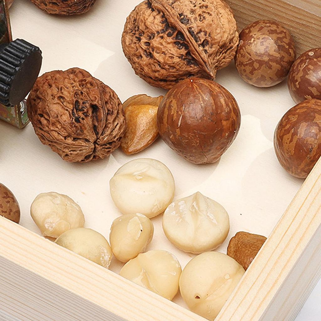 Schiaccianoci in Metallo Sostenibili con Bordi Lisci Base in Legno Dispositivo Multifunzione per Sgusciare Varie Noci Utensili da Cucina