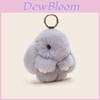 Schattige Klassieke Pluche Konijnenbont Sleutelhanger Accessoire Voor Stijlvolle Meisjes Cadeaus