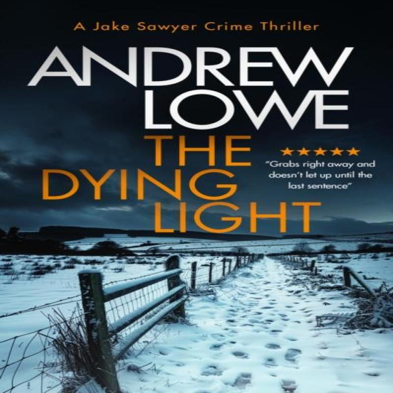 The Dying Light by Andrew Lowe Paperback Book 9781036703547