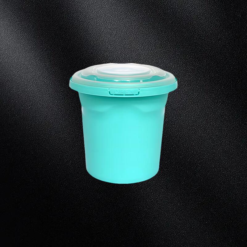 Disposable Food Containers with Locking Lids