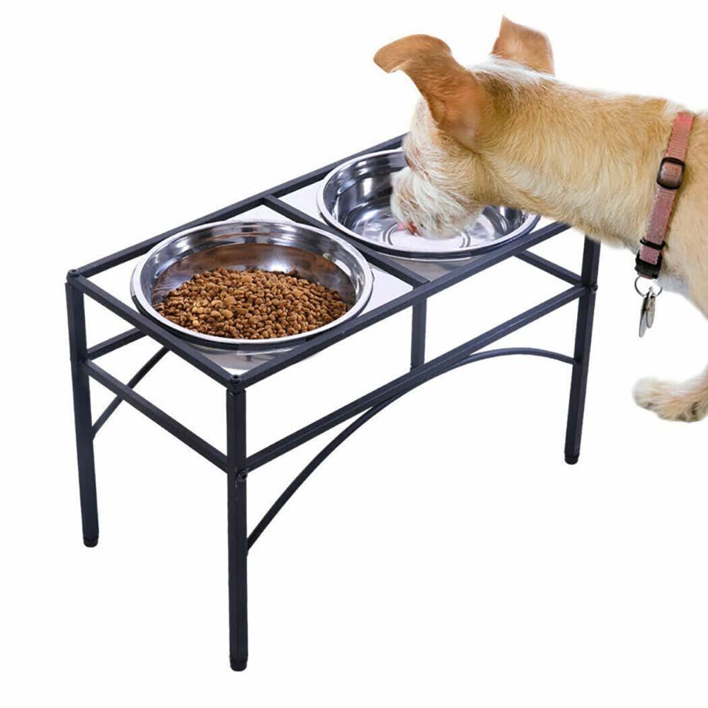 dual pet feeder