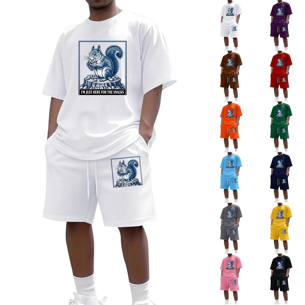 Men Casual Two Piece Set Short Sleeve Crew Neck Top and Shorts with Animal Print Graphic Loose Fit Summer Daily Wear