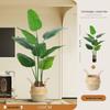 Large Faux Bird of Paradise Tree - Indoor Living Room Floor-Standing Luxury Green Plant Decor