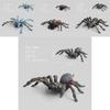 Spider Model Set With Plastic Material For Home Decor And Gift For Nature Lovers