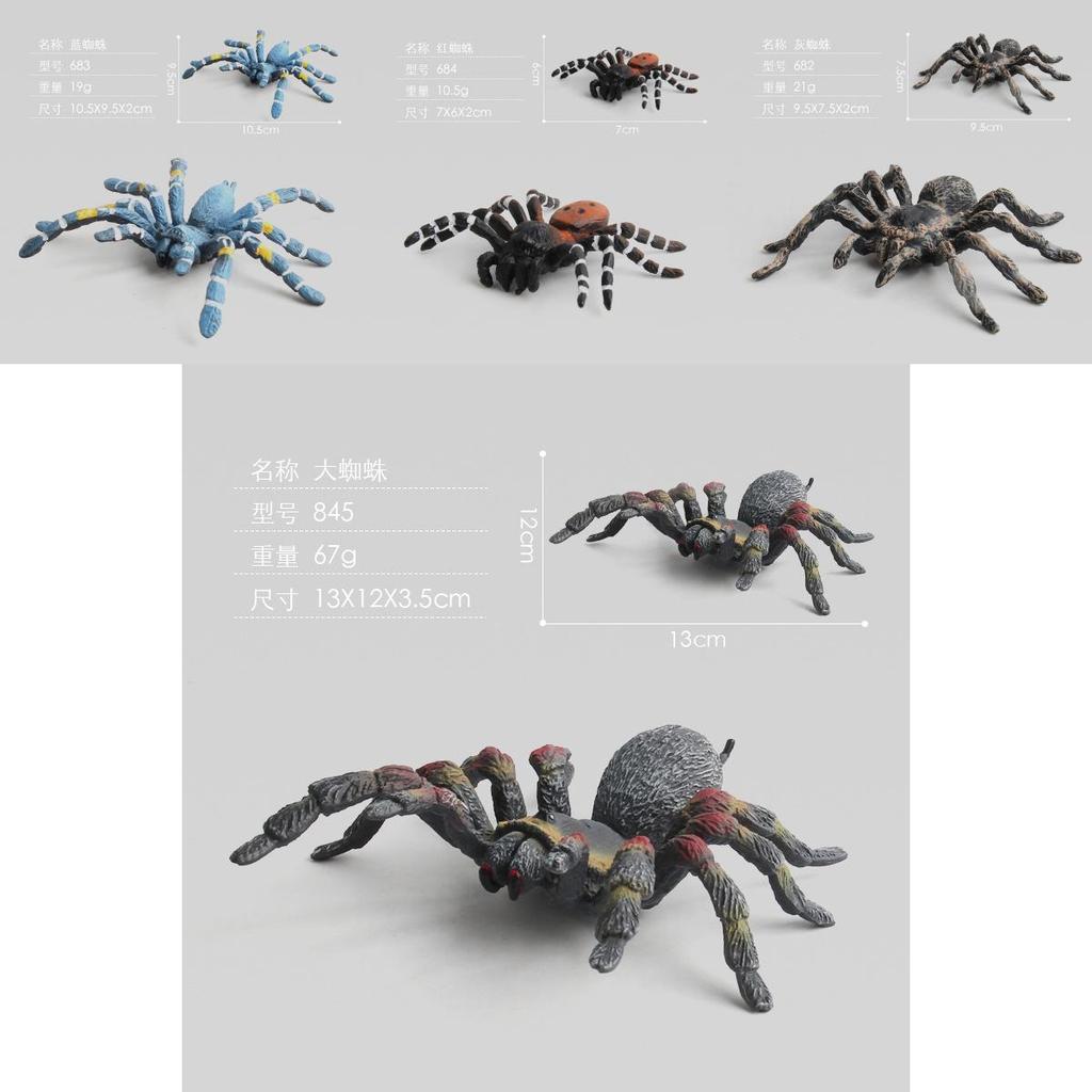 Spider Model Set With Plastic Material For Home Decor And Gift For Nature Lovers