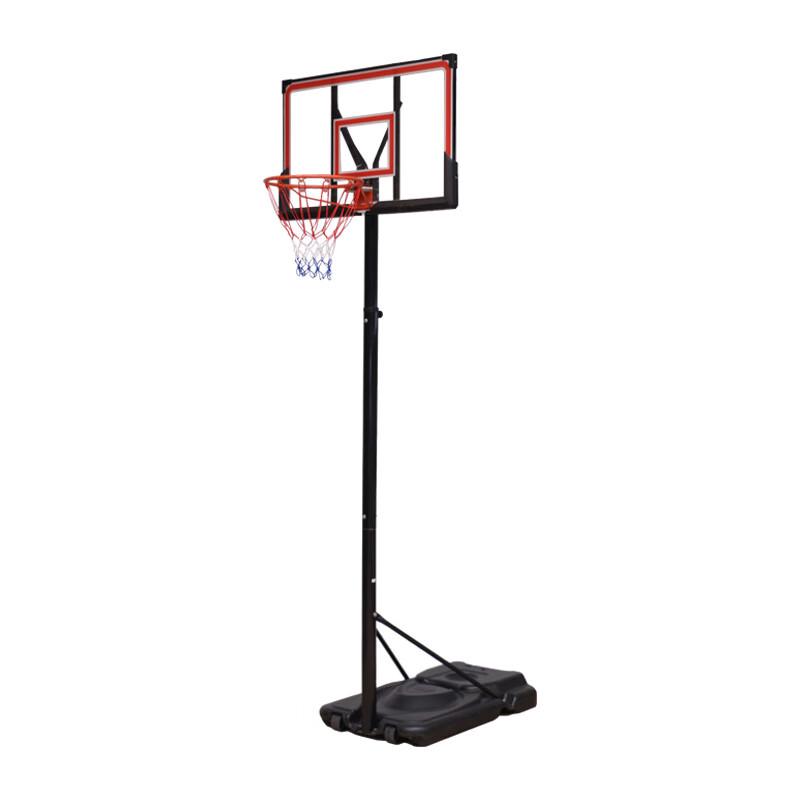 Longchan Wall-Mounted & Portable Basketball Hoop