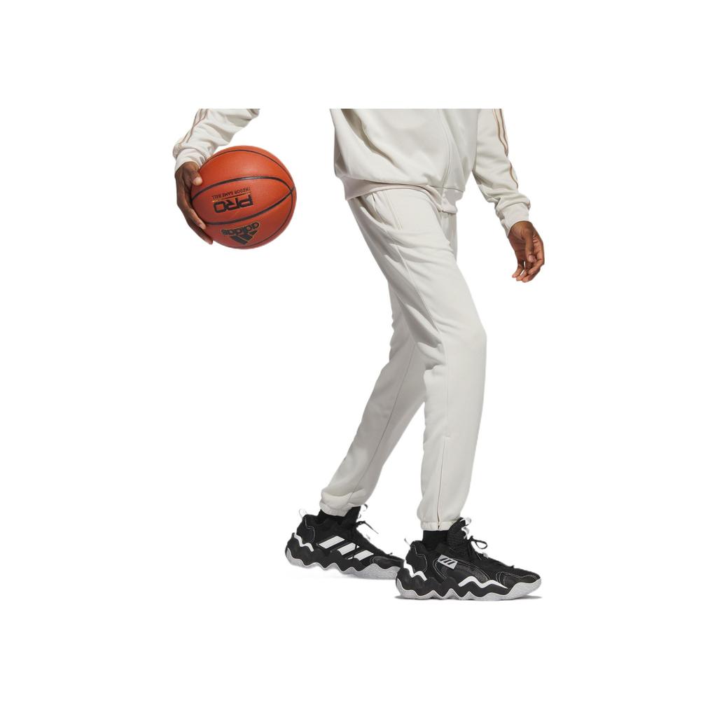 Adidas Vyberte Kalhoty Hliník Pánské Streetwear IC2417