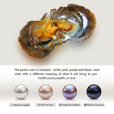 1pc//5pcs//10pcs//25pcs Individually Wrapped Oysters with Large Pearl Birthday Gift