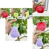 Adorable Plush Fruit Toy Collection Including Watermelon Apple And Strawberry Doll Keychain