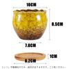FaceColor Glazed Succulent Size Stylish Ceramic Glazed Set of 10cm Diameter x with Drainage and Bottom Net Not Pots, 3, Japanese-Style Planter,