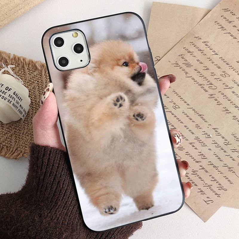 MaiYaCa Pomeranian Dogs Dog Phone Case for iPhone 11 12 13 Mini Pro XS MAX 8 7 6 6S Plus X 5S SE 2020 XR Case