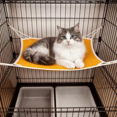 Comfortable Pet Cage Hammock Wear Resistant Cat Cage Swing Universal Cat Hanging Hammock  Indoor