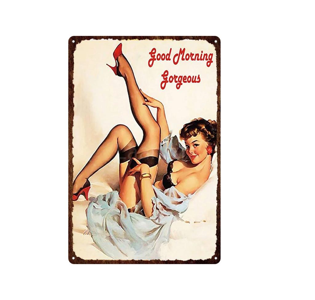 Iron Painting Elegant Pin Up Girl Retro Posters Tin Sign Metal Sign Decor Wall Women Portrait Bar Pub Club Man Cave Pictures