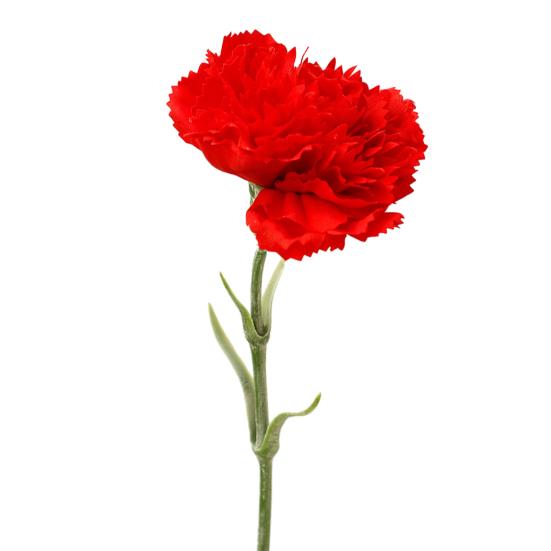 Artificial Carnation Realistic Fake Silk Flower Stem Wedding Party Indoor Outdoor Faux Flower Decoration Mother's Day Teachers' Day Gift