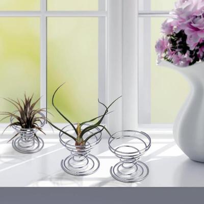 6 Pcs Blume Topf Edelstahl Air Plant Stand Container Tillandsia Halter
