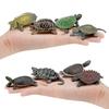 Realistic Turtle Action Figure Simulation Animals Figurines Ocean Life Model Ornaments Toys For Children