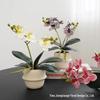 Phalaenopsis Small Potted Cream Artificial Flower In Ceramic Pot - Stylish Home Decor Ornament for Living Rooms