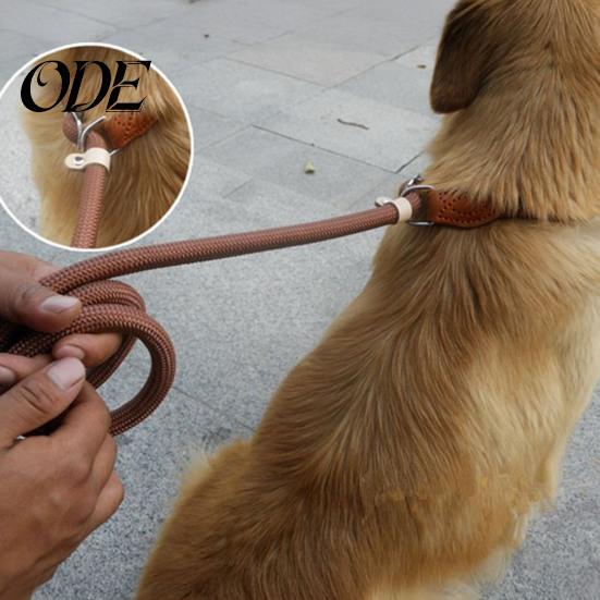 Sturdy Braided Rope Pet Lead Slip Leads for Dogs Heavy Duty Nylon Leash Car Travel Large Medium No Pull Training Walking Control Comfortable