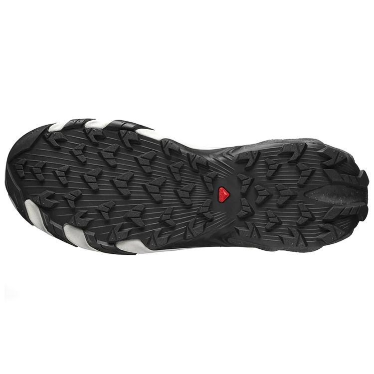 SALOMON Speedverse Prg Fabric Shock Absorbing Non-Slip Wear-Resistant Breathable Low-Top Outdoor Functional Shoes Unisex Shoes Silver 417545