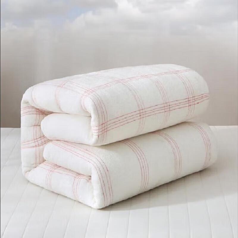 All-Season Cotton Duvet Insert