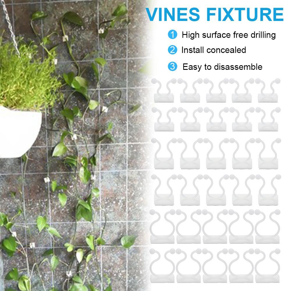 

10/50PCS Plastic Plants Holder Climbing Wall Vines Plant Clip Rattan Clamp Greenhouse Bracket M-50pcs