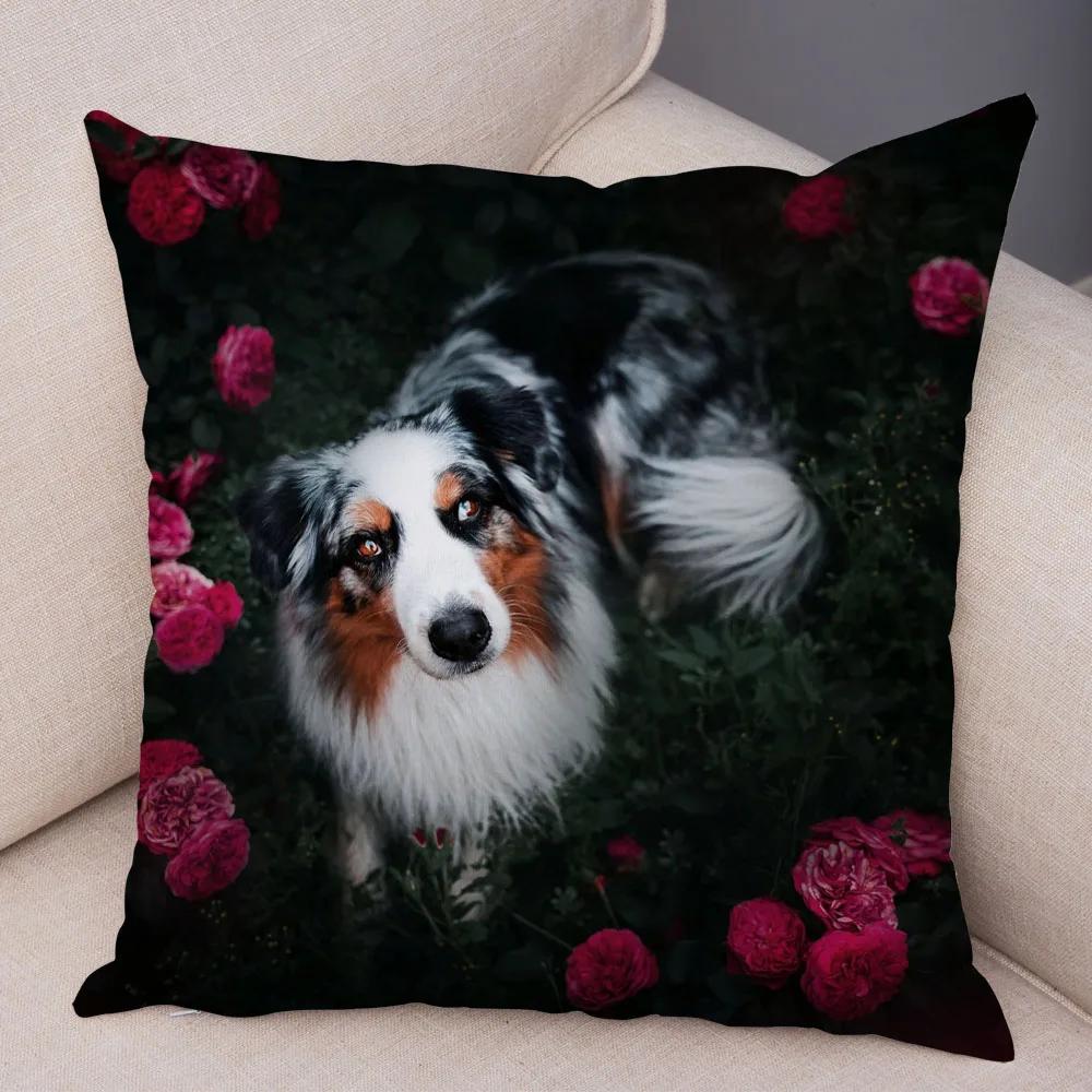 Cute Pet Animal  Cushion Cover Scotland Border Collie Pillowcase for Sofa Car Decor Dog Printed Soft Plush Pillow Case