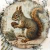 Metal Wall Art Vintage Squirrel Pinecone Rustic Home Decor 8x8 Inch