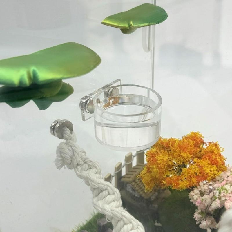 Reptiles Food Dish Water Bowl Feeding Tray With Magnetic Installatioin Simple Cleaning Feeder For Terrarium Box Feeding Accessory