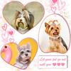 DaFuEn Dog Hair Clips Bows for Pet Puppy Crown Barrettes Girl Tiara Crystal Rhinestone Dog Hair Accessories for Chihuahua Yorkie Shih Tzu Pet Bows