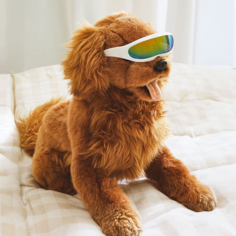 [Pet] Straight Mirror Sunglasses