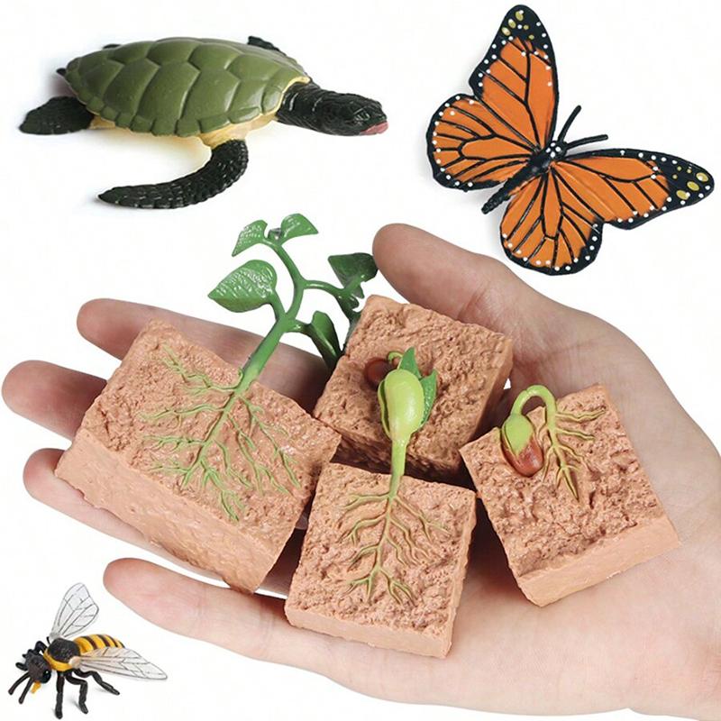 Mini Animal Life Cycle Home Desktop Decoration Biomimetic Plant Animal Growth Cycle Model Set School Biology Teaching Tools TMZ