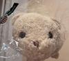 [USED] Tully's Bearful Blanket Teddy Bear Kuma Bear Plush Toy