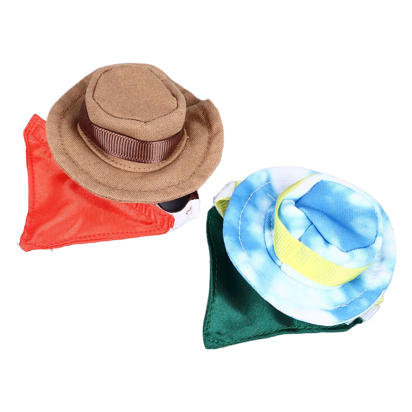 Костюм рептилии на Хэллоуин в виде ковбойской шляпы и банданы с бородатым драконом — фото 8